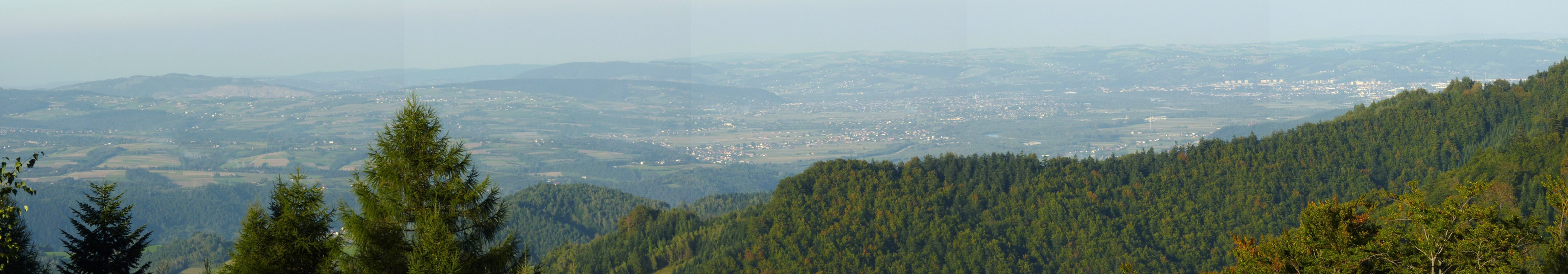 Widok na Nowy Sącz z&nbsp;Bucnika