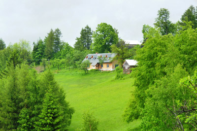 Nasza polana na zboczu